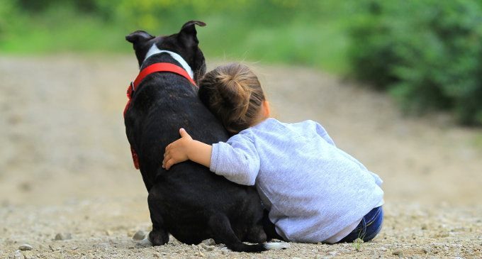 Pet therapy e ADHD: quando la vicinanza di un animale domestico può avere effetti benefici